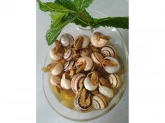 La Caracoler&iacute;a - 651.64.12.66 