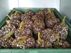 La Caracoler&iacute;a - 651.64.12.66 