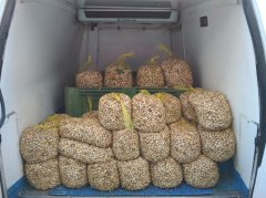 La Caracoler&iacute;a - 651.64.12.66 